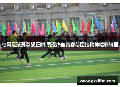 屯昌足球赛激战正酣 展现热血青春与团结精神精彩纷呈